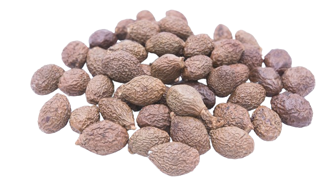 Malva Nut Ahsan Commodity Sukses